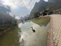 -靖西鹅泉风景区