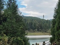 -武陵山森林公园