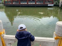 -有喜胶东小馆(超极合生汇太申祥和店)