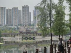 -重庆彩云湖湿地公园