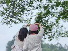 -都江堰玫瑰花溪谷