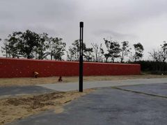 -春花秋色城市公园