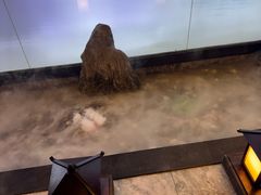 -上足·影院足道·SPA(红岭店)