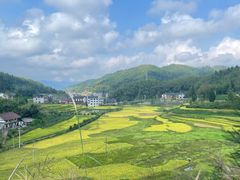 -紫鹊界梯田景区