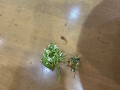 -和记粉馆(湘春路店)