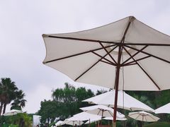 -上海东方佘山翰悦阁酒店·Vie全日制餐厅