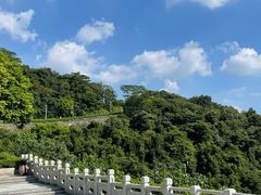 -火炉山森林公园