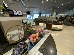 -虹桥机场国航贵宾室v8