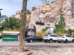 -西霞口神雕山野生动物世界