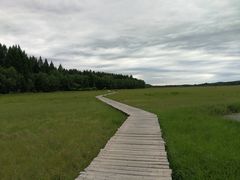 -塞罕坝国家级自然保护区