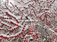 -长春公园(普阳街道)