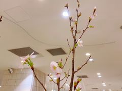 -1/4 ONE QUARTER COFFEE LAB(朝阳大悦城店)