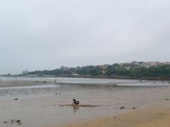 -青岛海滨风景区
