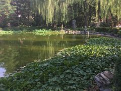 -木塔寺遗址生态公园