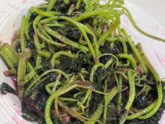 清炒苕尖-刘胖子家常菜·蹄花焖藕(富安街店)