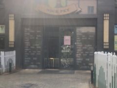 -奈斯宠物医院·核磁CT·异宠专科·内镜(中南店)