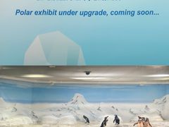 -上海海洋水族馆