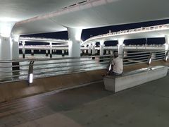 -演武大桥观景平台