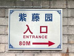 -嘉定紫藤园