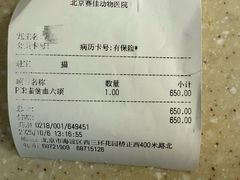 -北京赛佳动物医院