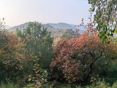 -香山公园