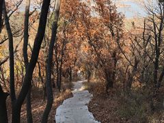 -沈阳辉山风景区