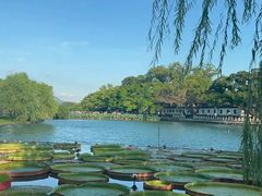 -江心屿景区