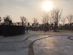 -春花秋色城市公园