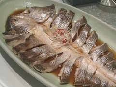 -海派美食·家宴海鲜青岛菜·石锅鲽鱼头(东方城店)