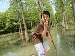 -泗洪洪泽湖湿地景区