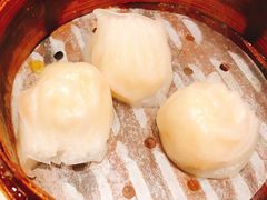 招牌虾饺皇-澳门陈光记烧味饭店(郎家园店)