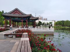 -西海子公园