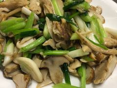 -泸沽肴(泸沽湖大洛水村农村信用社旁店)