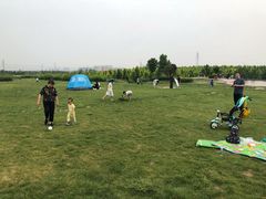 -君乐宝优致牧场
