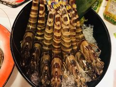 -鲜入围煮花胶鸡海鲜火锅