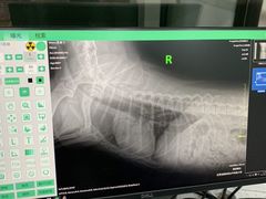 -佳雯宠物医院(金华南路分院)