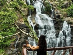 -海南热带雨林国家公园吊罗山景区