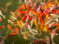 -番禺宾馆丽苑厅