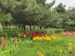 -长春公园(普阳街道)