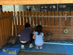 -廊坊固安福朋喜来登酒店