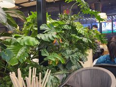 -杯莫亭(集里店)