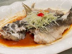 清蒸笋壳鱼-聚福宝合苑食府(南头镇店)