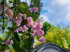 -深圳国际园林花卉博览园