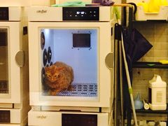 -PETKIT小佩宠物(古北店)