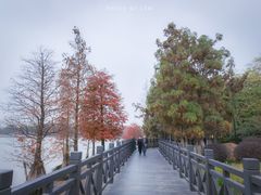-海珠湖公园