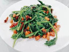 -听涛雅苑百味饺子老家菜馆