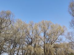 -北陵公园