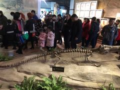 -自贡恐龙博物馆