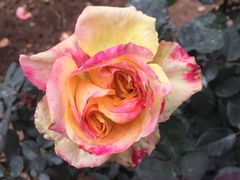 -人民公园(罗湖区)