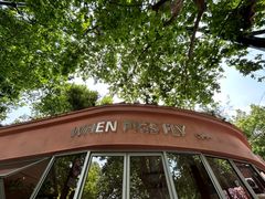 -WHEN PIGS FLY当猪飞